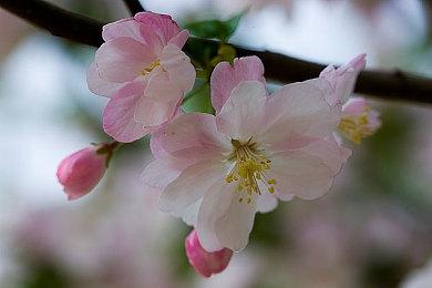 《博德之门3》PS5版频繁崩溃 官方建议先离线游玩